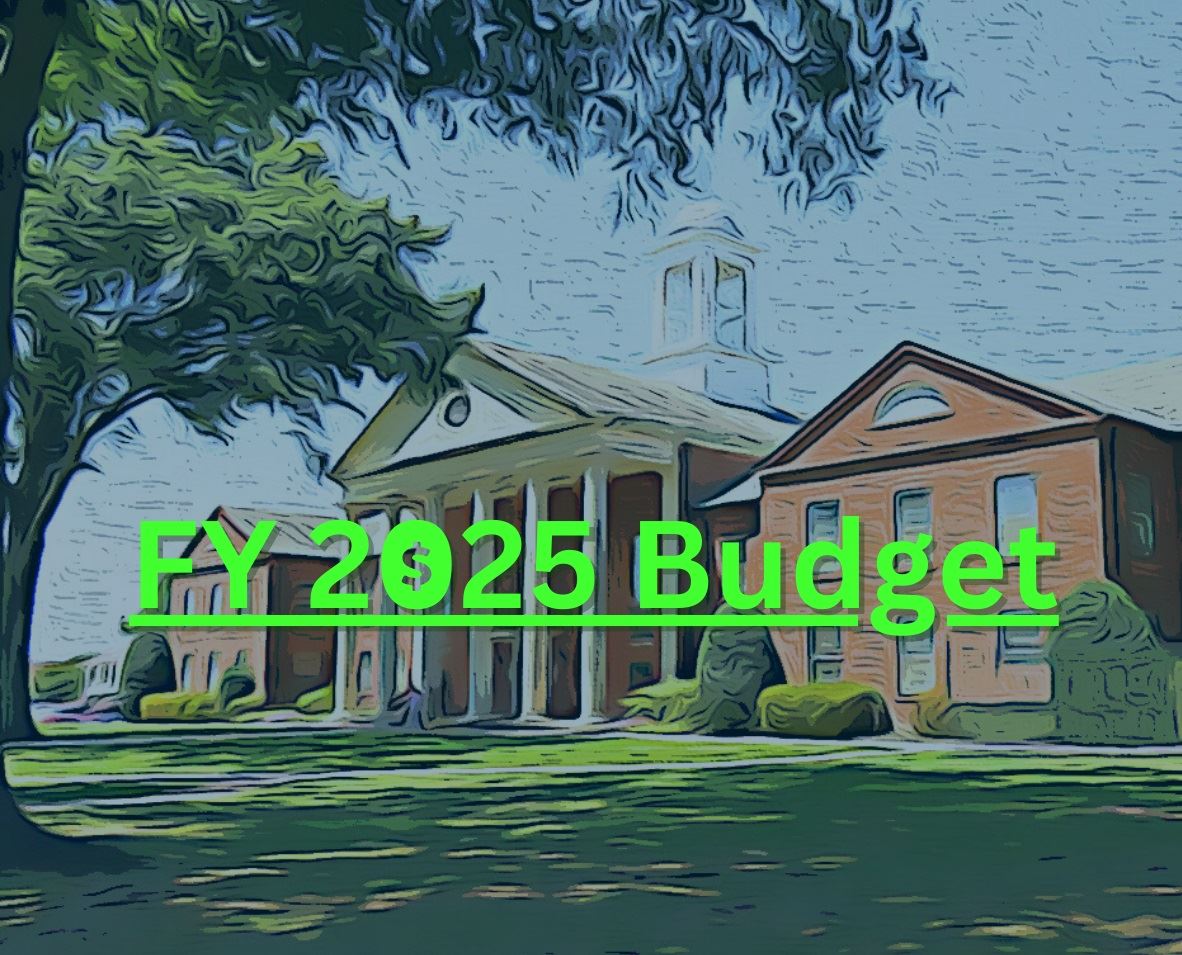 FY 2025 Budget image